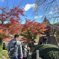 鏡の中の紅葉