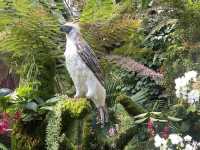 Eco Wonders: A Cloud Forest Expedition