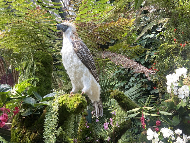 Eco Wonders: A Cloud Forest Expedition