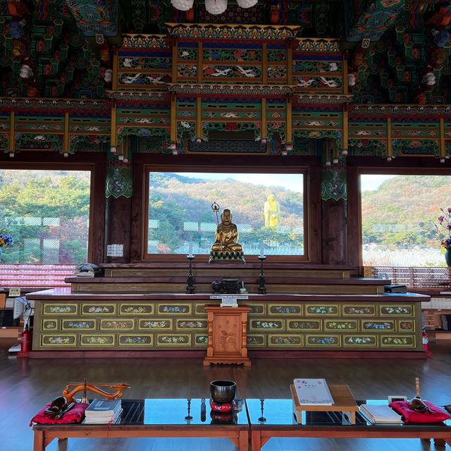 충북 음성 가을 여행 스팟 추천