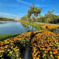 พรรณไม้งามอร่าม ณ สวนหลวง ร.๙