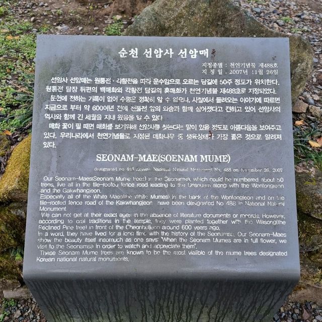 유네스코 세계유산 태고종의 총본산 선암사 