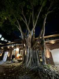 「夜幕下的文創驚艷：探訪台北華山紅館」