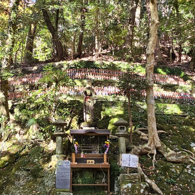紅楓季書寫山漫步芬多精森林