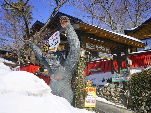 【宮城県】キツネの可愛いが大渋滞！「宮城蔵王キツネ村」