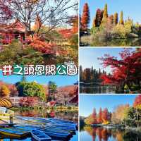 井之頭恩賜公園-不同種類的楓樹交織成美麗的畫卷