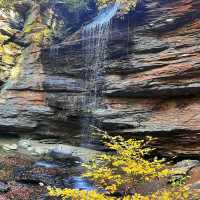 Pisgah National Forest