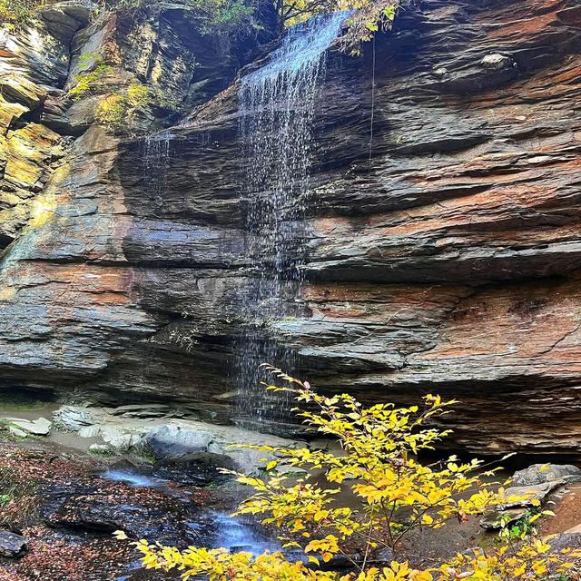 Pisgah National Forest
