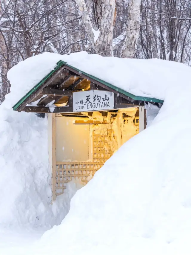 小樽天狗山：小樽全景