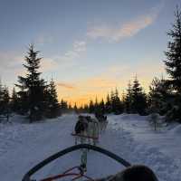 Legit Aurora Cabins in Levi Finland: Let the lights find you 