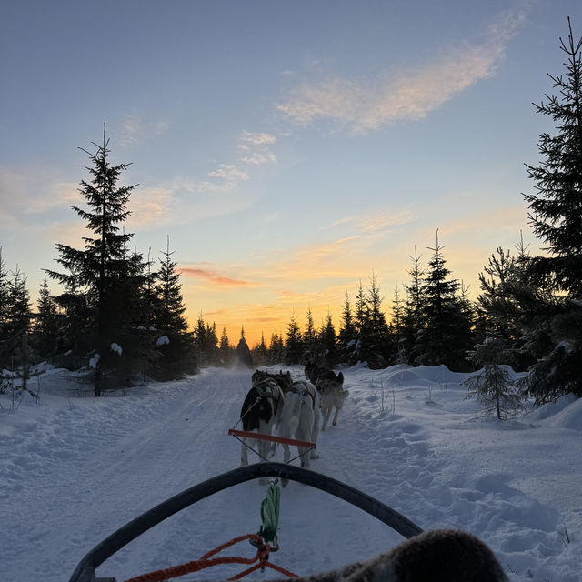Legit Aurora Cabins in Levi Finland: Let the lights find you 