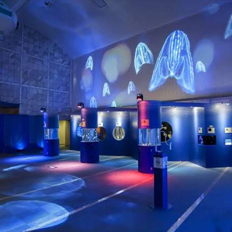 名古屋旅遊～名古屋水族館