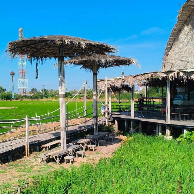Authentic Thai food in a Rice Field🌾