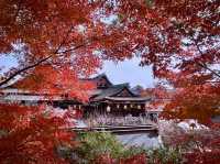 北野天滿宮-千年寺廟，壯觀楓海令人感動