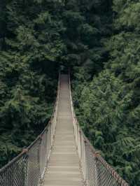 溫哥華林恩峽谷公園 Lynn Canyon
