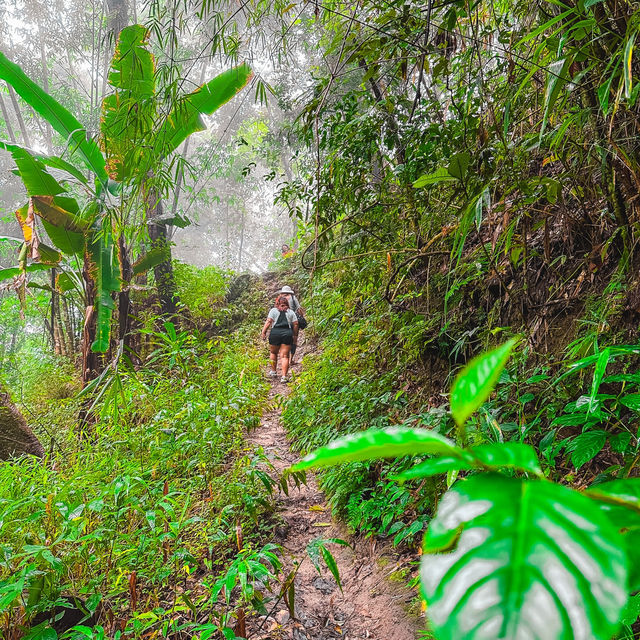 น้ำตกแม่ปาน (Mae Pan Waterfall) เชียงใหม่