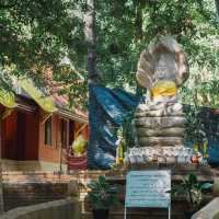 A Peaceful Escape at Wat Umong