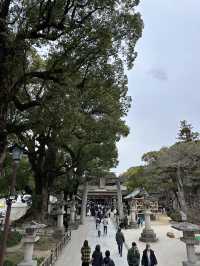 【福岡】リニューアルした太宰府天満宮が素敵だった！