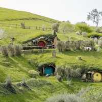 Stepping Into Middle-earth: My Magical Visit to Hobbiton Movie Set