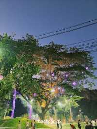 งานดอกไม้งานปีที่ 21 หาดเชียงราย ท่ามกลางสายหมอก