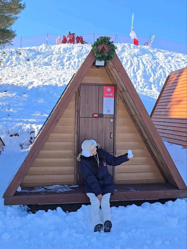 입장권 하나로 하루종일 즐기는 눈마을☃️