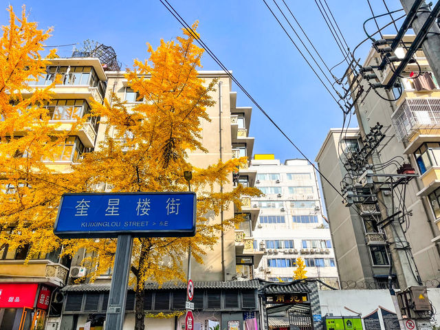 청두 로컬 미식거리..奎星楼街