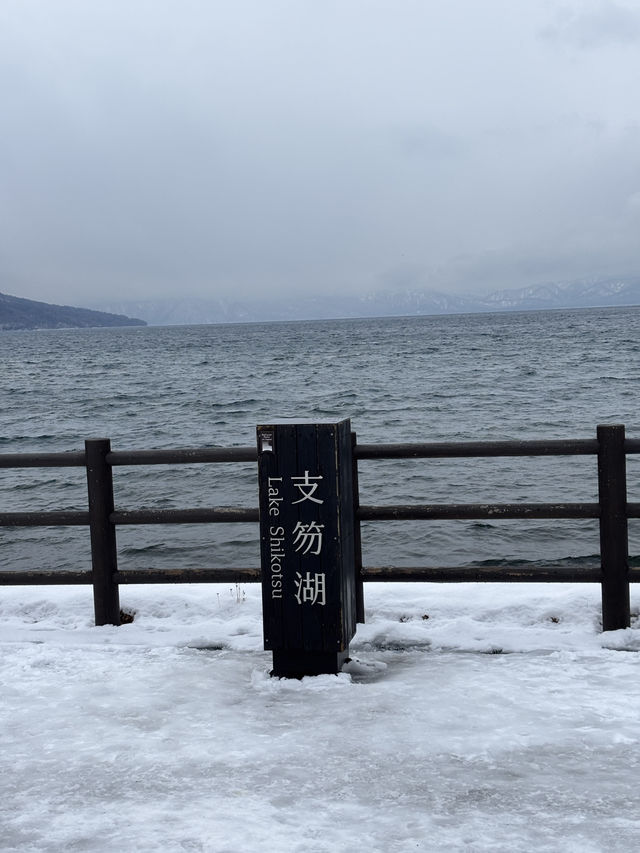 겨울에 꼭 가야하는 겨울호수 시코츠 호수❄️💙