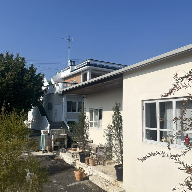 📍제주도 예쁜 카페 추천 <인무드>