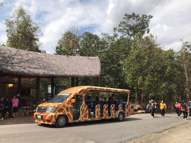 เที่ยวสวนสัตว์ขอนแก่นกลางขุนเขา🌳