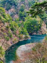 【静岡県】世界が認めた‼️秘境にある絶景吊り橋✨