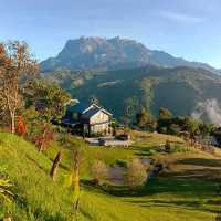 HOUNON RIDGE FARMSTAY