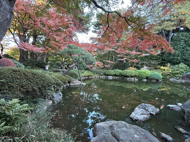 喜歡自在慢遊的夥伴，相信會喜歡「東京庭園美術園」