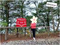 Solo Trip 5 Days @ เกาสง-อาลีซาน (Kaohsiung-Alisha