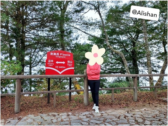 Solo Trip 5 Days @ เกาสง-อาลีซาน (Kaohsiung-Alisha