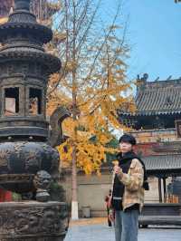 ✨Quick City hop from Chengdu