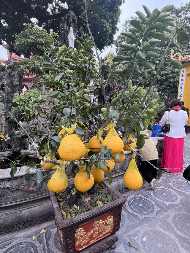 河內古寺尋旅～鎮國寺