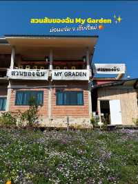 สวนส้มของฉัน my garden