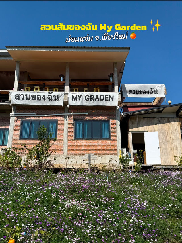 สวนส้มของฉัน my garden