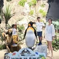【 超夢幻非一般的海洋體驗 | DMM水族館 】