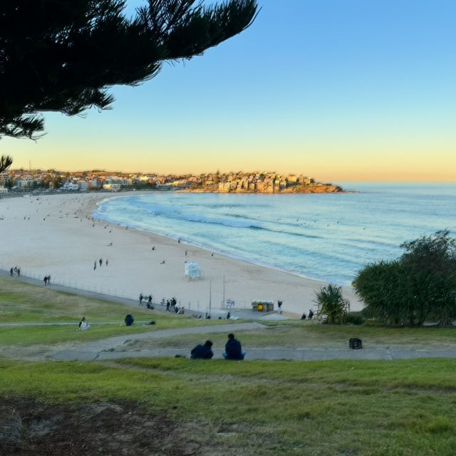 悉尼最知名的衝浪勝地之一 - 邦代海灘 Bondi Beach