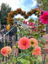 Shiroi Koibito Park: A Fairytale Stroll in Spring