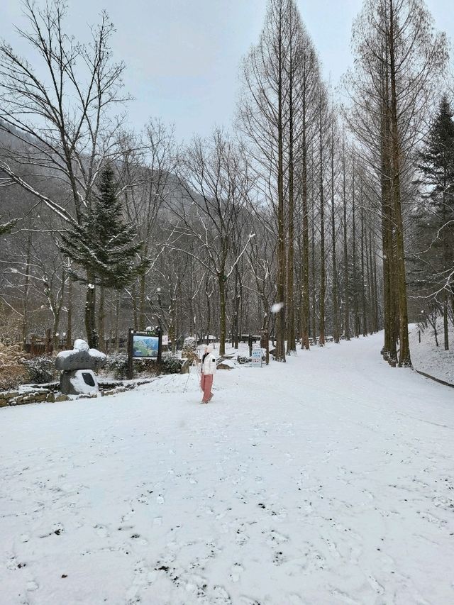 겨울감성 가득한 빙벽이 있는 대전여행지