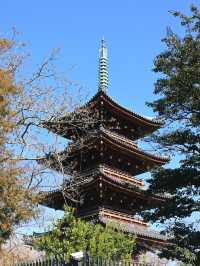✈️日本東京文化深厚日本第一座公園🤎