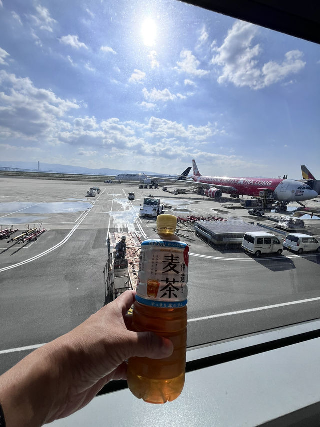 My First Taste of Japan: A Culinary Adventure