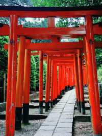 景點推薦：根津神社——東京近郊的千本鳥居與百年古韻