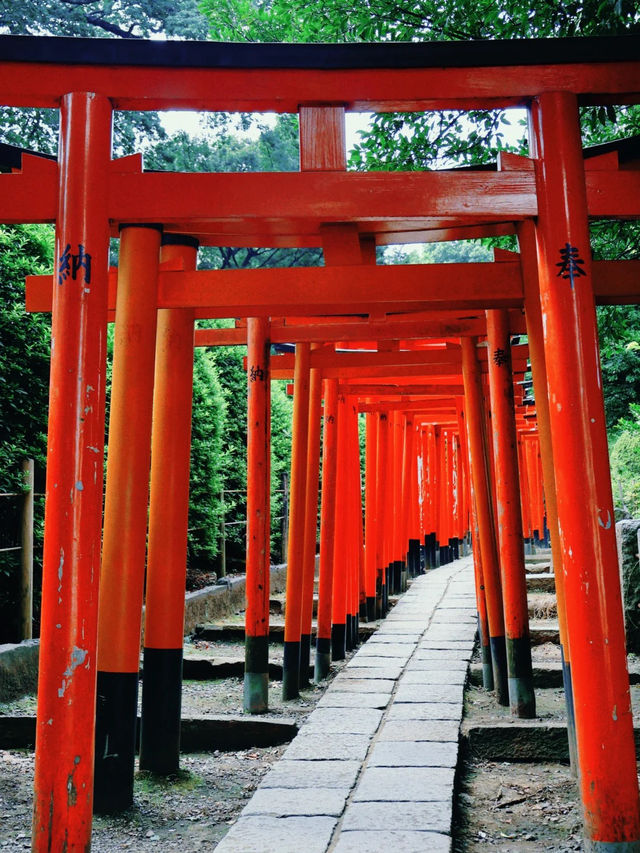 景點推薦：根津神社——東京近郊的千本鳥居與百年古韻