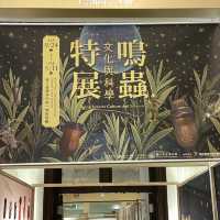  鳴蟲之聲—細聽自然的藝術與文化