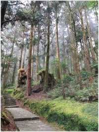 Sunrise @ Alishan