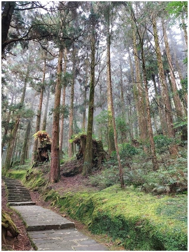 Sunrise @ Alishan