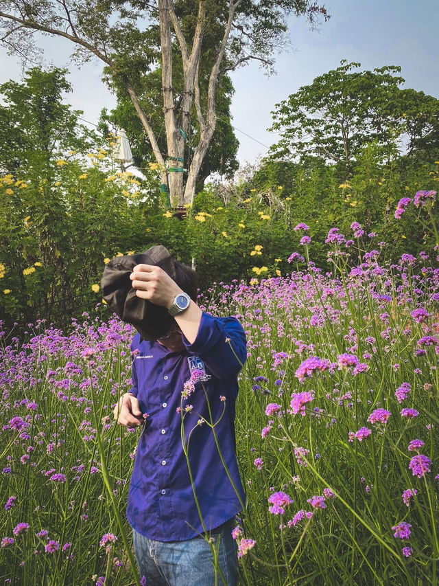 สวนแม่ฟ้าหลวง 